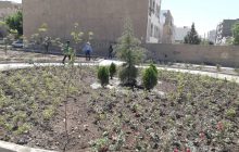 ادامه عملیات احداث پارک پرچمی و اجرای سم پاشی درختان شهر فردیس